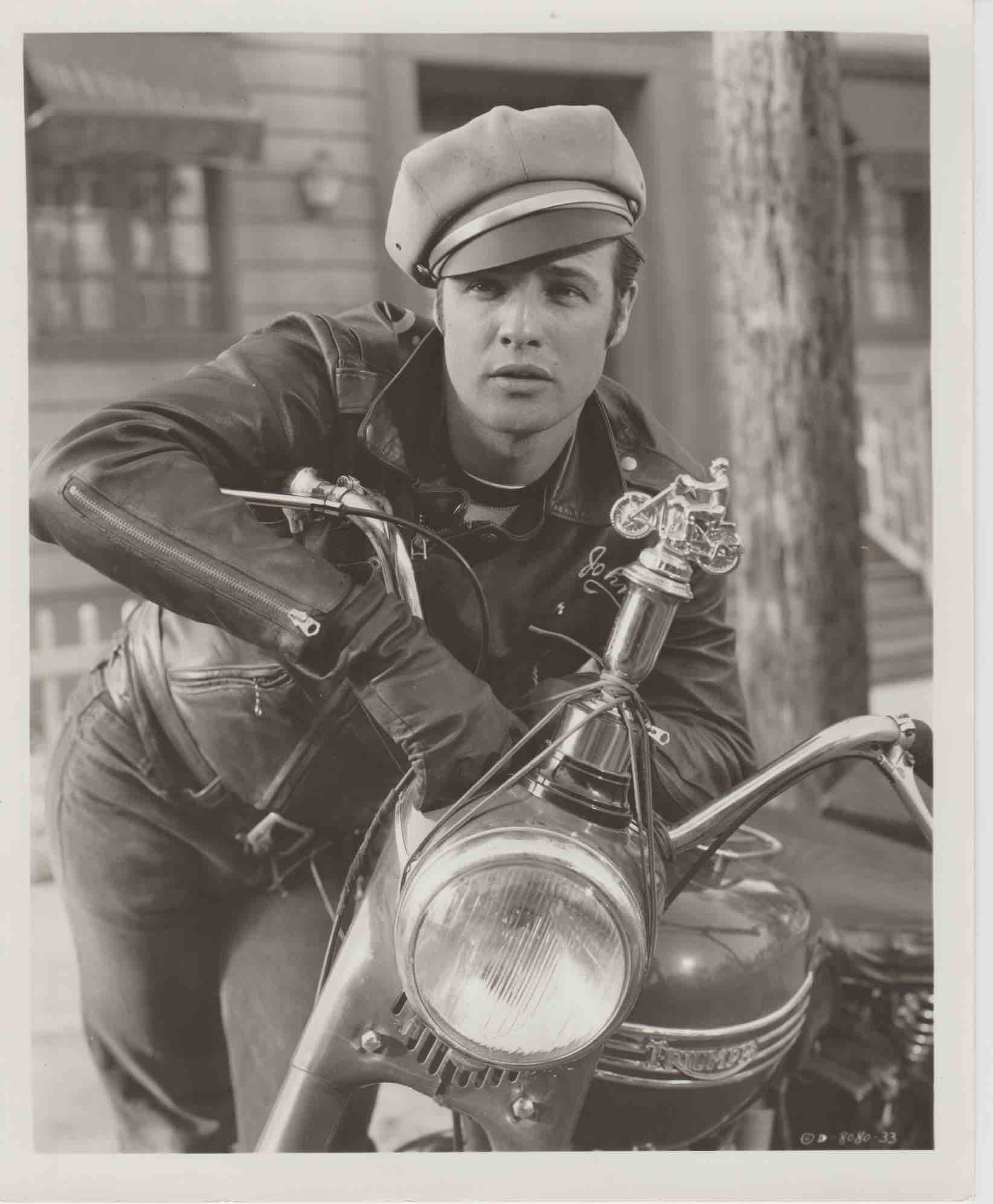 The Wild One Original Photograph - Blue Robin Collectables