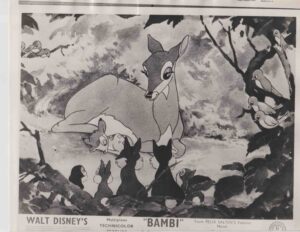Bambi Original Photograph
