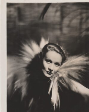 Marlene Dietrich Original Photograph