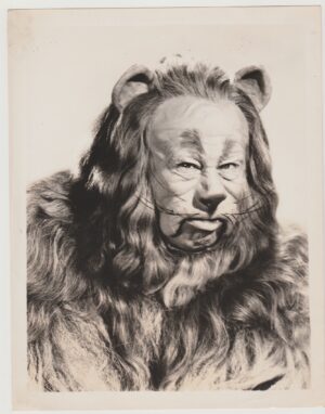 The Wizard Of Oz Original Photograph