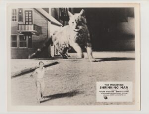 The Incredible Shrinking Man Original Photograph