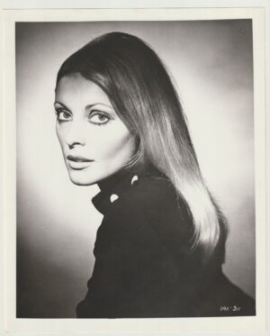 Sharon Tate Original Studio Photograph